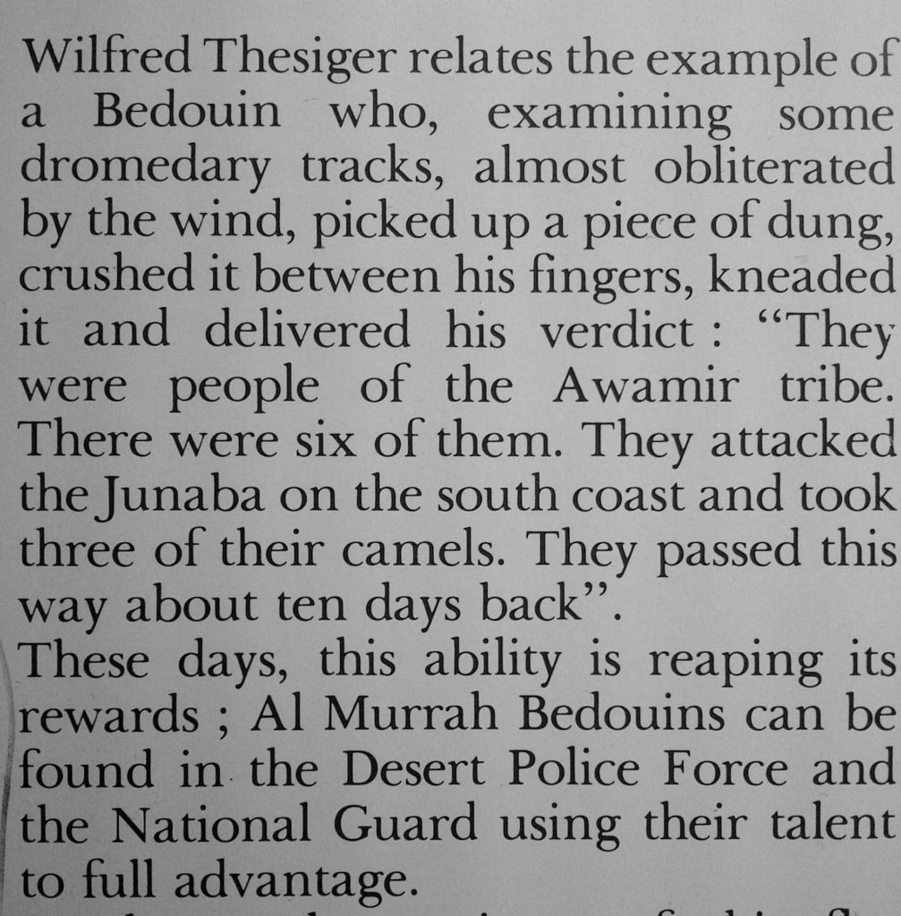 saudi arabesque - national guards extract from bedouins of arabia thierry mauger